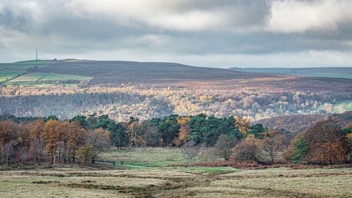 A view over grassland and woodlands over to hills in the distance. The trees are showing Autumn colours of yellow, green and gold.